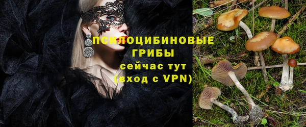Альфа ПВП Бронницы